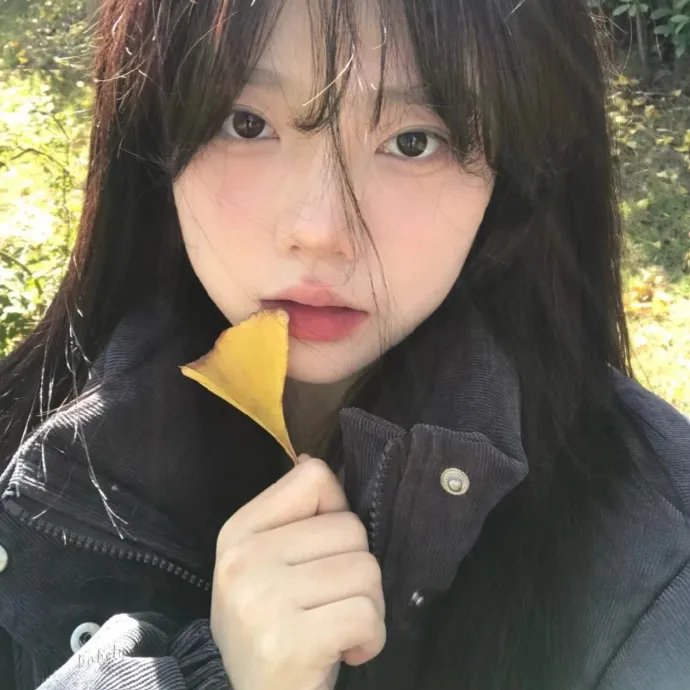 青春再见青春